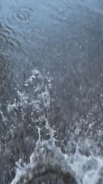 Я поплавал в луже оценка 8/10!