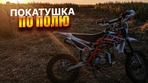 ПОКАТУШКА ПО ПОЛЮ НА ПИТБАЙКЕ KAYO || ПОКАТУШКА ПО ПОЛЮ