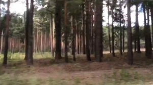 Мопеды сериал | Серия 1264