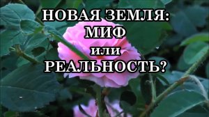 ЧТО ТАКОЕ НОВАЯ ЗЕМЛЯ? МИФ ИЛИ РЕАЛЬНОСТЬ? НОВАЯ ЗЕМЛЯ – РАССВЕТ ЧЕЛОВЕЧЕСТВА?