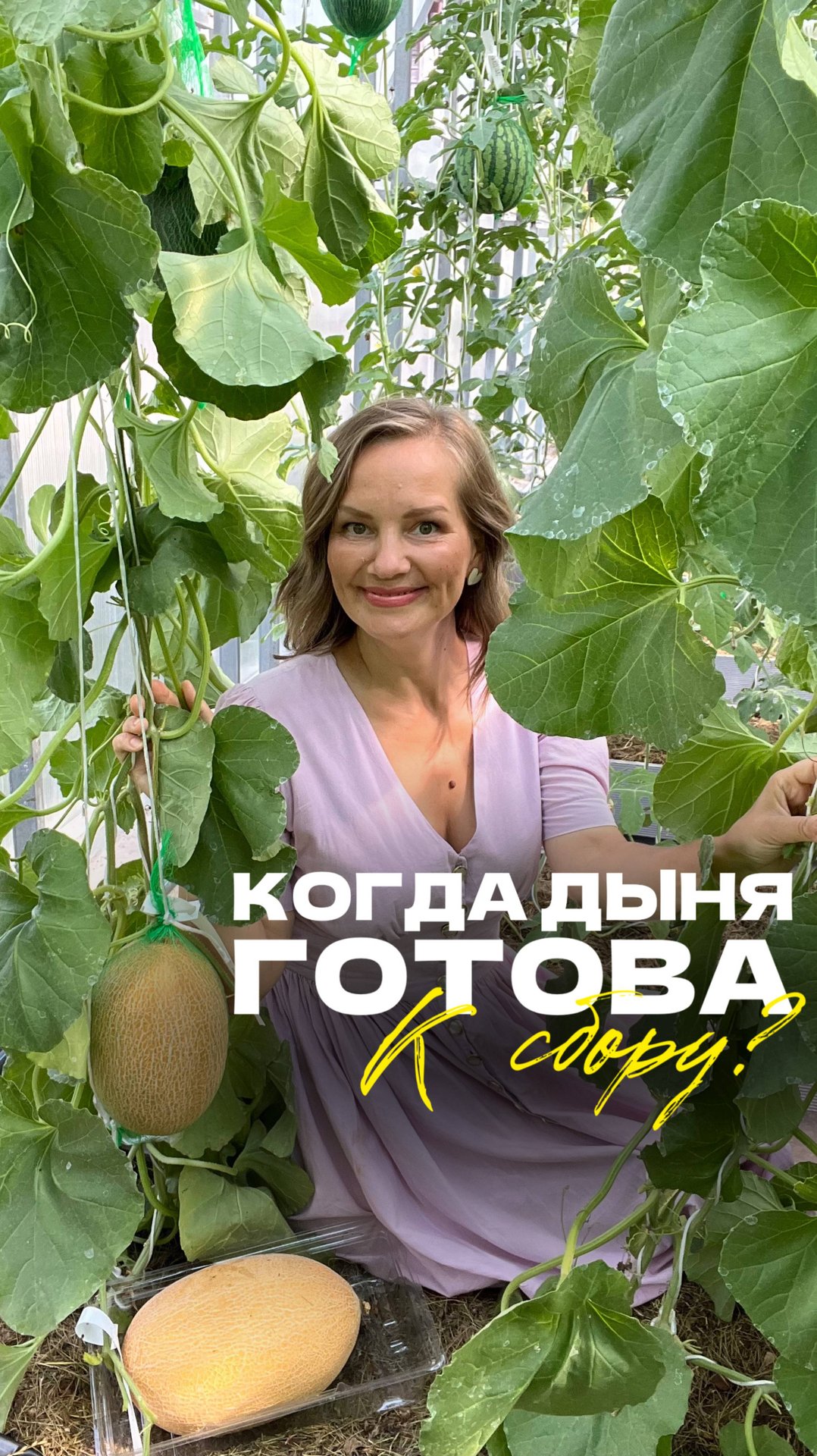 Семена Партнер