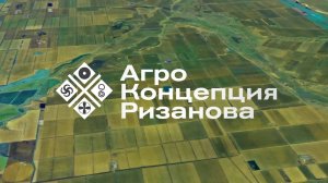 Как вывести молочай и тростник с поля. Пошаговая стратегия | Сергий Ризанов | Агроном