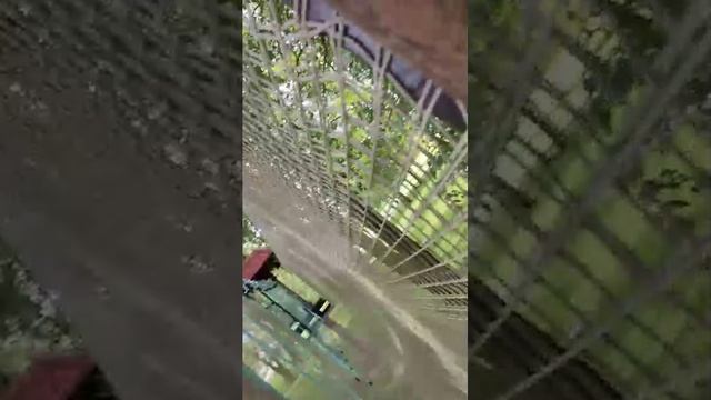 на лазелках