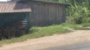 Мопеды сериал | Серия 1183