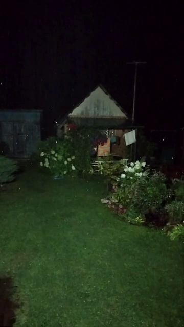 Завтра поливать не будем. 02.08.2025 смотреть онлайн