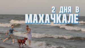 МАХАЧКАЛА: Прогулка с собакой по столице + Избербаш и Самурский лес
