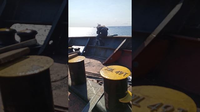 не битый не крашеный