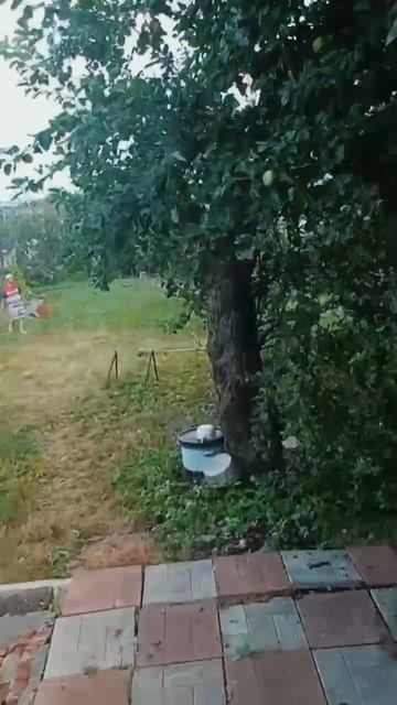 Дом Верхняя Луговая 363а, 75.2кв.м