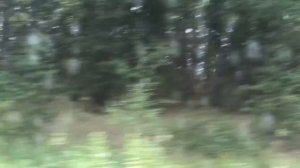 Мопеды сериал | Серия 1246