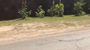 Мопеды сериал | Серия 1212