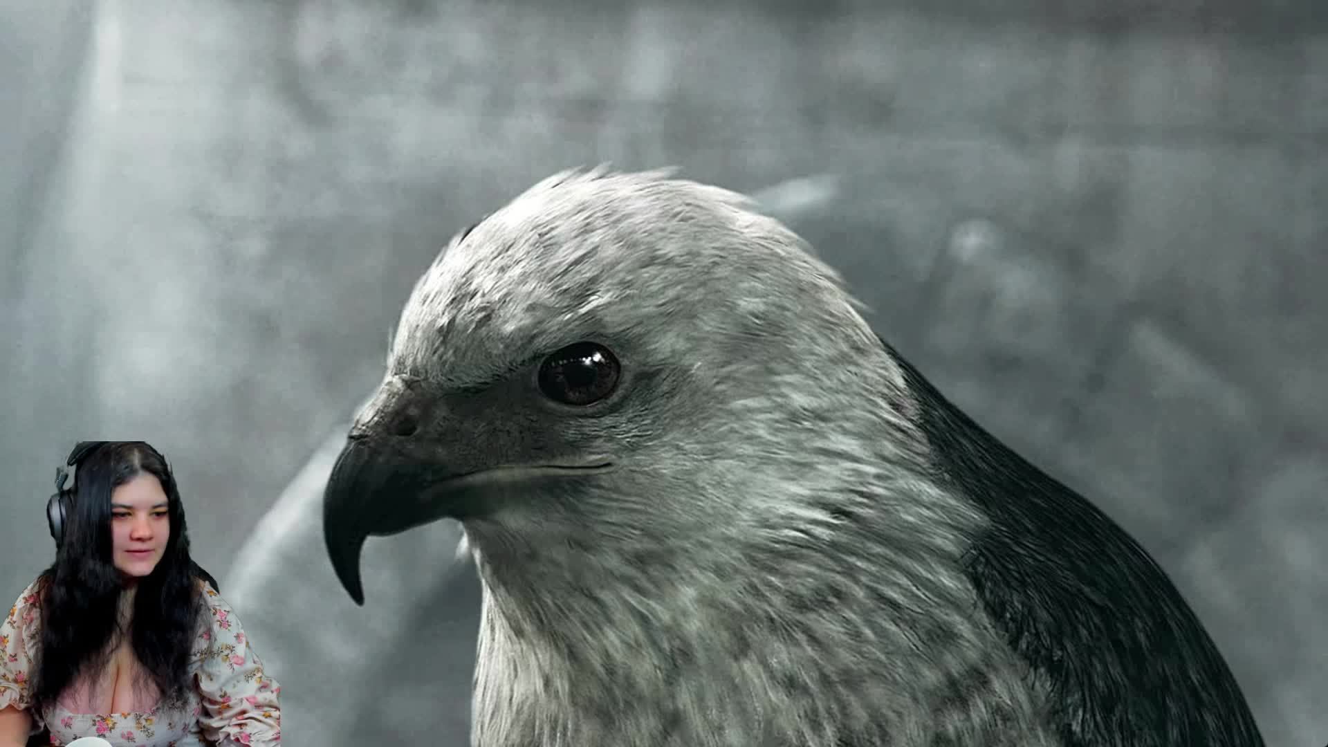 Знакомимся с Assassin's Creed