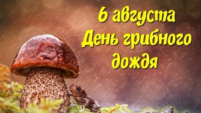 06.08.25 - День грибного дождя смотреть онлайн