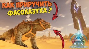 КАК ПРИРУЧИТЬ ФАСОЛАЗУХА в ARK? Гайд по приручению, обзор и способности.