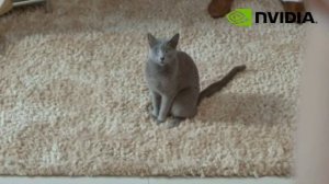 Рекламный блок 🌀NVIDIA