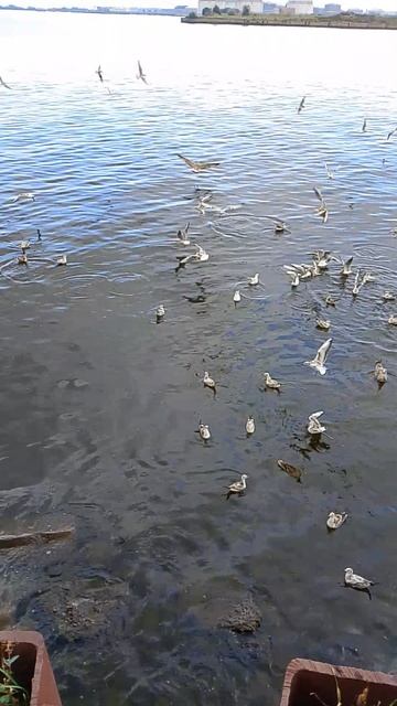 Вечно голодающие смотреть онлайн