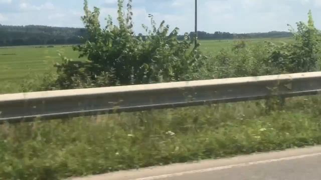 Мопеды сериал | Серия 1259