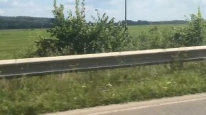 Мопеды сериал | Серия 1259