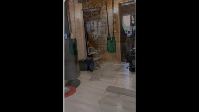 котик пушок,крутизна... смотреть онлайн