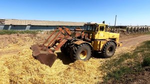 Редкий кадр! Александр Степанович трамбует силос!