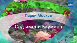 Парки в деталях: Сад имени Баумана