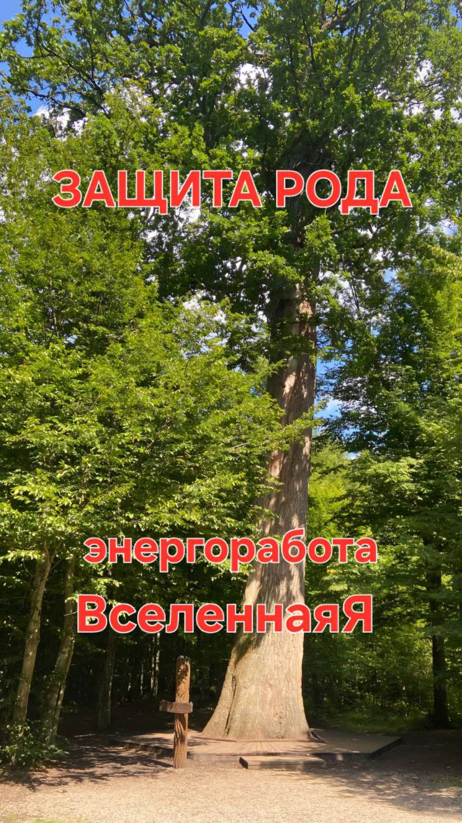 Защита Рода. Энергетическая работа.