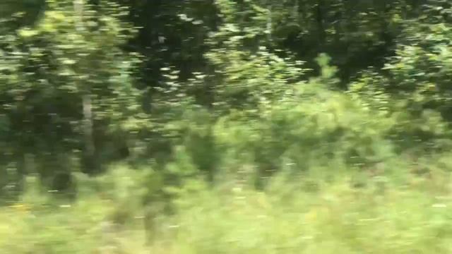 Мопеды сериал | Серия 1195