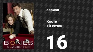 Кости 10 сезон 16 серия «Кусок говядины в королевском ужине» (сериал, 2014)