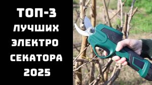 Забудь про мозоли! Три лучших аккумуляторных секатора 2025 года! 🤩🥇