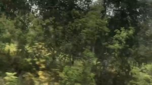 Мопеды сериал | Серия 1228