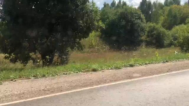 Мопеды сериал | Серия 1201