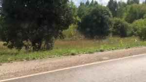 Мопеды сериал | Серия 1201