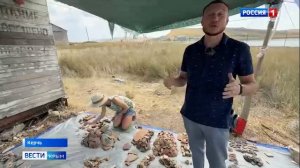 Раскопки античного города Акра в Керчи увенчались выдающейся находкой