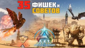 35 Фишек и Советов, которые НУЖНО знать для игры на Scorched Earth. ARK: Survival Ascended