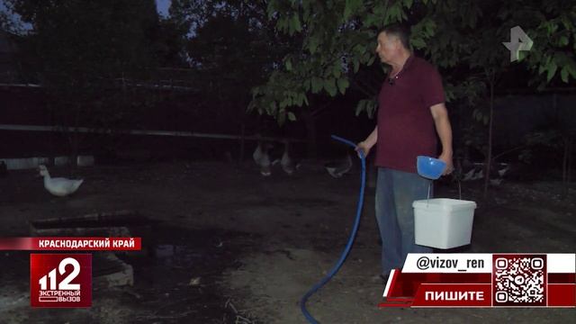 Кубанцы устроили войну с фермерами из-за разведения скота в городе смотреть онлайн