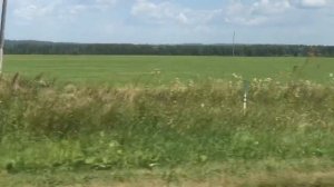 Мопеды сериал | Серия 1192