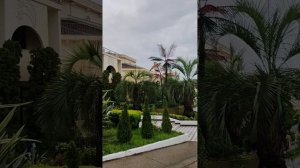 Территория санатория Октябрьский, СОЧИ...