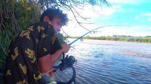 СЫН РЫБУ ТЯГАЕТ - БАТЕ ПОМОГАЕТ! СОМИНЫЙ ЖОР НА ВСЁ ПОДРЯД! РЫБАЛКА УДАЛАСЬ!