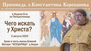 Чего искать у Христа? Проповедь о. Константина Корепанова в Неделю 8-ю по Пятидесятнице (03.08.2025)