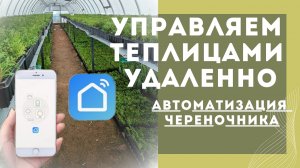 Автоматика для теплиц/автоматизация череночника•Удаленный контроль параметрами в теплице