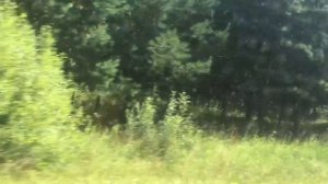 Мопеды сериал | Серия 1280