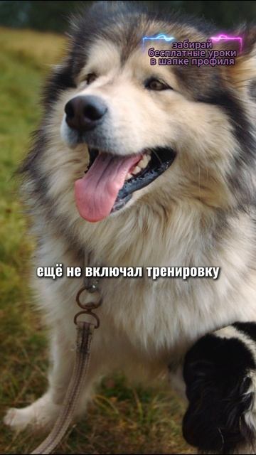 🎁Бесплатные уроки. Жми сюда! смотреть онлайн