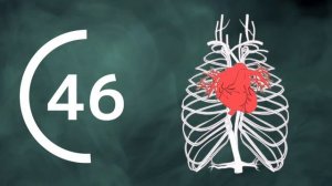 лечебно оздоровительное дыхание, для снятия стресса