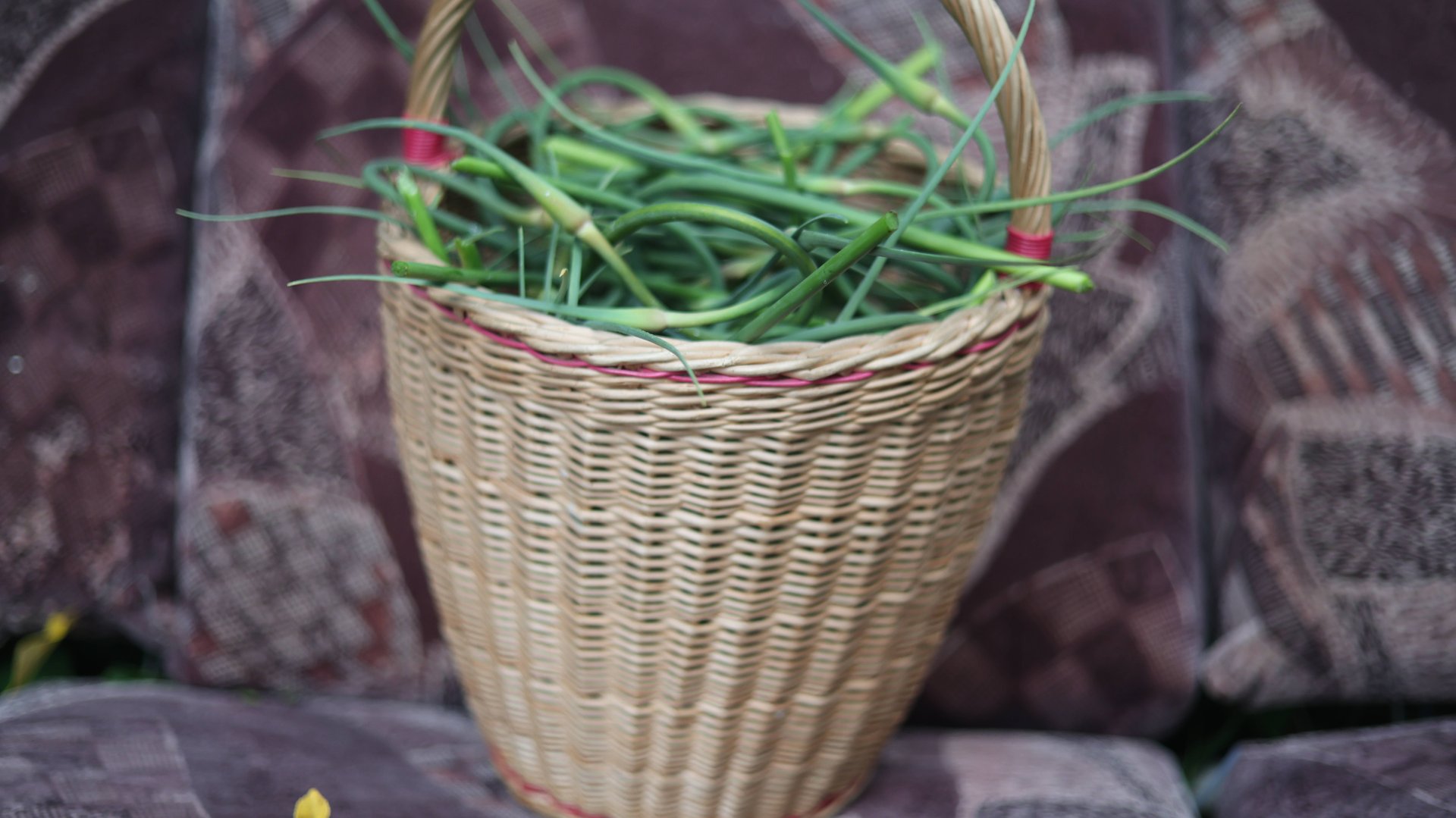 трансляция про сад и огород и домашние советы , простые рецепты , Миняева Юлия / август 2025