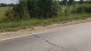 Мопеды сериал | Серия 1178