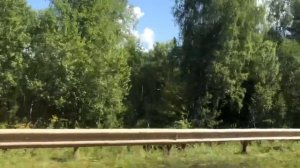 Мопеды сериал | Серия 1173