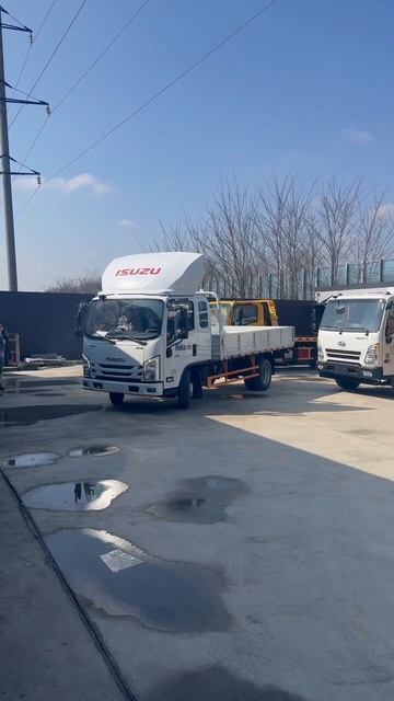 Isuzu Elf EC5 бортовой грузовик со спальным местом смотреть онлайн
