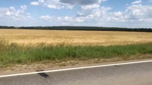 Мопеды сериал | Серия 1180