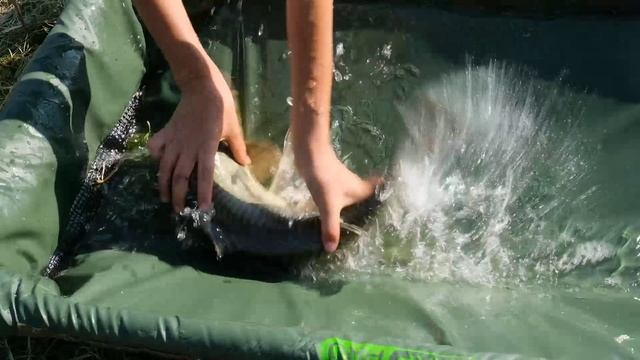 турнир Аст Фарт/Карпомания 2025🔥🔥🔥