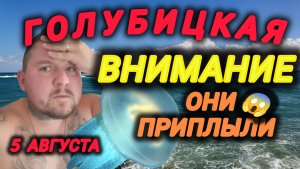 #Голубицкая - ЧТО ПРОИСХОДИТ НА КУРОРТЕ СЕЙЧАС😱5 АВГУСТА 2025 #азовскоеморе