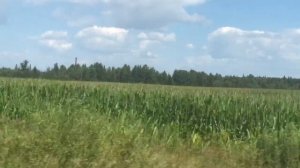 Мопеды сериал | Серия 1209